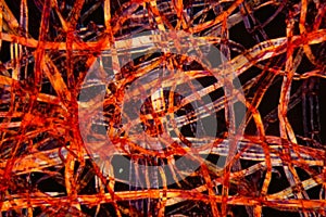 Red plastic fibers under the microscope
