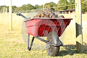 Red Plastic wheelbarrow with horse manure