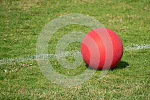 Red Playground ball on the green grass