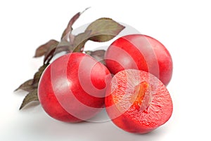 Red plum