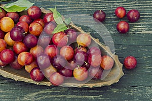 Red plum fruit