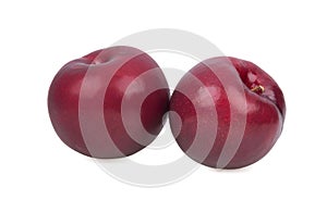 Red plum fruit isolated on white background