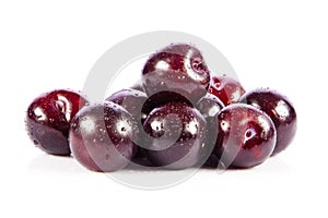 Red plum fruit isolated on white
