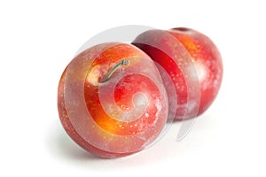 Red plum fruit on white