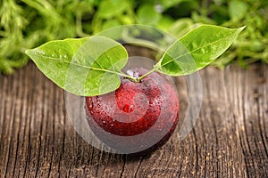 Red plum with green leafs