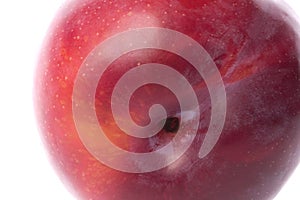 Red Plum Macro Isolated