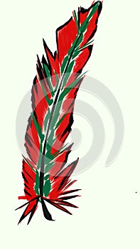 red plume illustration