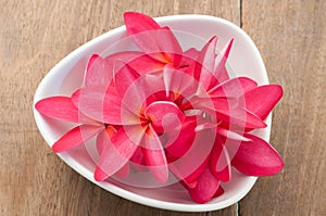 Red Plumeria Flower on the plate and wood floors.