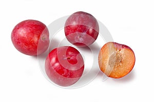 Red plums, susine rosse, Prunus domestica photo