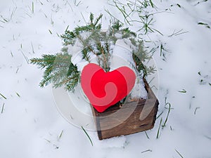 Red plush heart and fir tree branches in wooden box in winter garden.