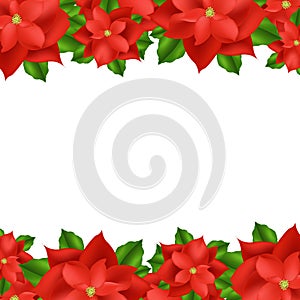 Red Poinsettia Border