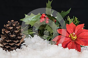 Red Poinsettia flower with Mistletoe and Pine Cone in snow. Black Christmas Background with holiday theme