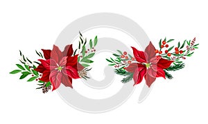 Red poinsettia flower set. Christmas decorations with beautiful flower, fir tree branches and holly vector illustration