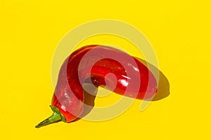 red pointed pepper on a yellow background
