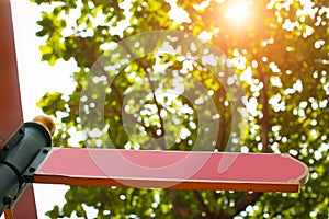 Red pointer mockup with free place shows the direction in summer forest with lights of sun. bottom view