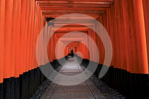 Red Polls Tunnel at Fushimi Inari, Kyoto, Japan photo
