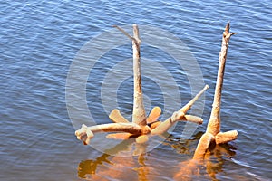 red polluted lake