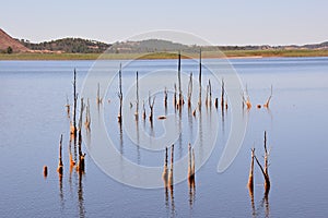 red polluted lake