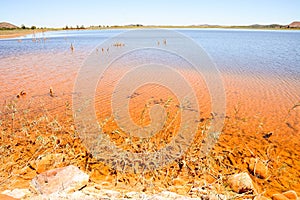 red polluted lake