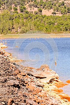 red polluted lake