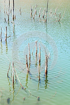 red polluted lake