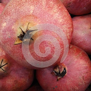 Red pomegranate close up