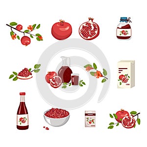 Red pomegranate icons set