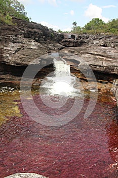 Red Pools Jungle Falls Cano Cristales