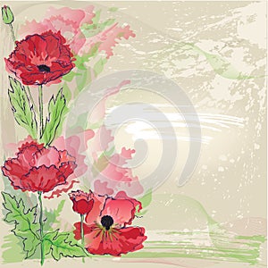 Red poppies