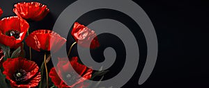Red poppies on black background. Creative Poppy flowers banner background. Remembrance Day. AI generative