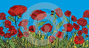 Red poppies on a blue background. Hand drawn  illustration.