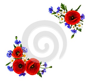 Red poppies, cornflowers and chamomile on white background with space for text. Flat lay