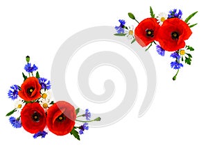 Red poppies, cornflowers and chamomile on white background with space for text. Flat lay