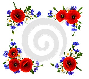 Red poppies, cornflowers and chamomile on white background with space for text. Flat lay