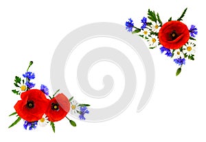 Red poppies, cornflowers and chamomile on white background with space for text. Flat lay