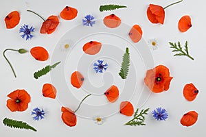 Red poppies, daisies, cornflowers and green leaves on white background. Flat lay, top view
