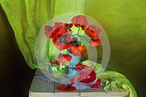 Red poppies with the fallen petals in the vase.Still life red poppies with the falling petals in a blue vase