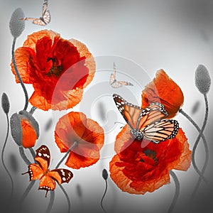 Red poppies field and blue cornflowers