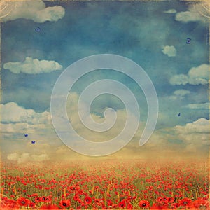 Red poppies field with blue sky