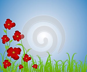 Red Poppies Flower Garden