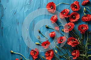 red poppies flowers border frame on blue painted background top view, beautiful floral template with copy space