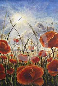 Red poppies flowers in the grass on the background of sunlight