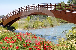 Red poppies flowers meadow river wooden bridge