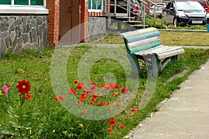 Red poppies in front of the entrance an old wooden bench