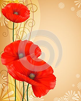 Red poppies gentle brown background.