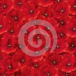 Red Poppies texturized background photo