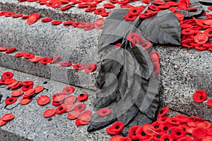 Red poppies on Tomb Of The Unknown Soldier in Ottawa, Canada on Remembrance Day.