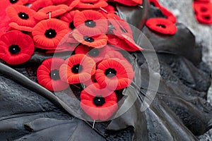 Red poppies on Tomb Of The Unknown Soldier in Ottawa, Canada on Remembrance Day.