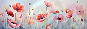 Red poppies watercolor painting. Delicate illustration of red poppies. Aquarelle paper texture visible