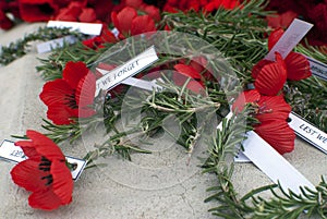 Red poppy anzac day remembrance day